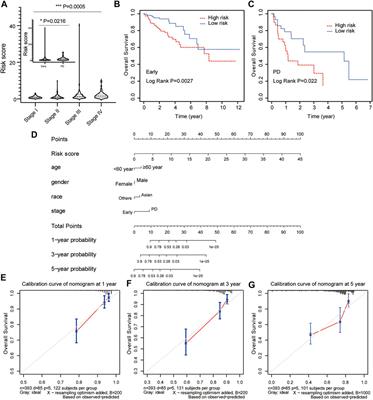 Identification of a novel lipid metabolism-related gene signature for predicting colorectal cancer survival